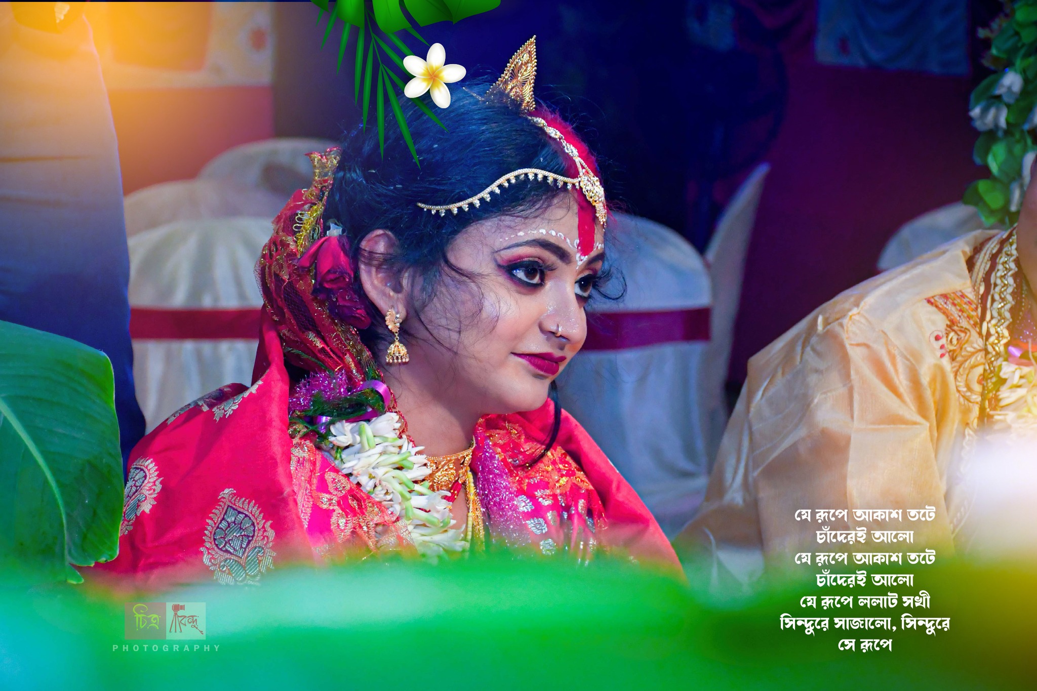 Wedding Photographer